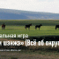 Интеллектуальная игра «Нютагайм шэнжэ» (Всё об округе) - Агинская краевая библиотека